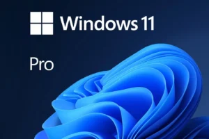 Windows 11 Pro