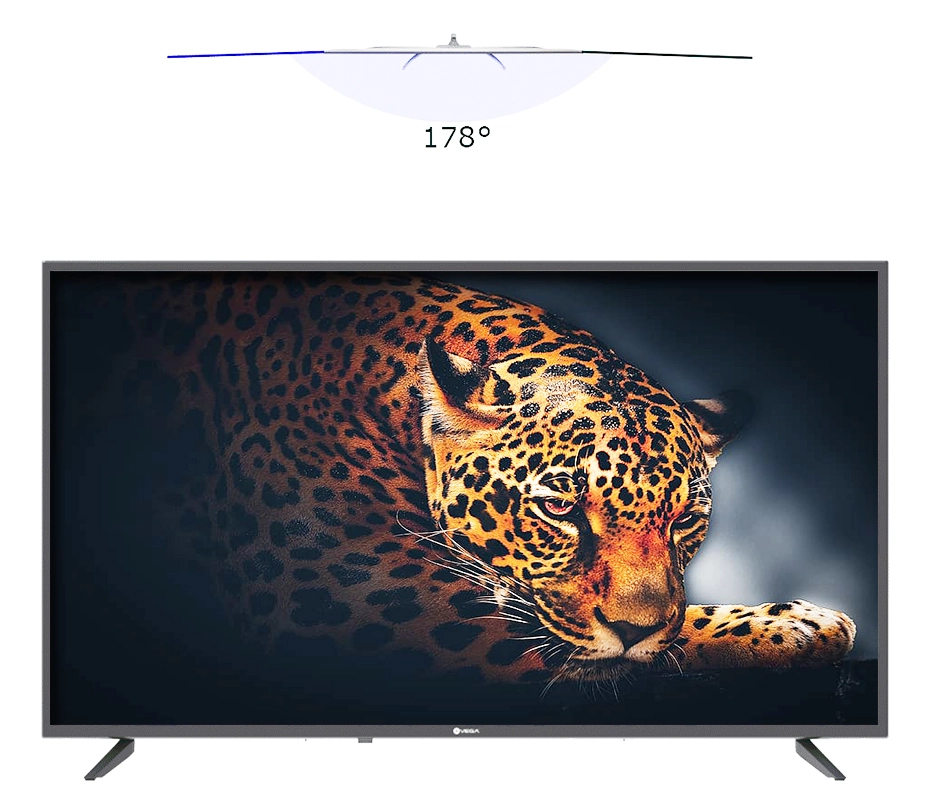 Téléviseur VEGA 50″