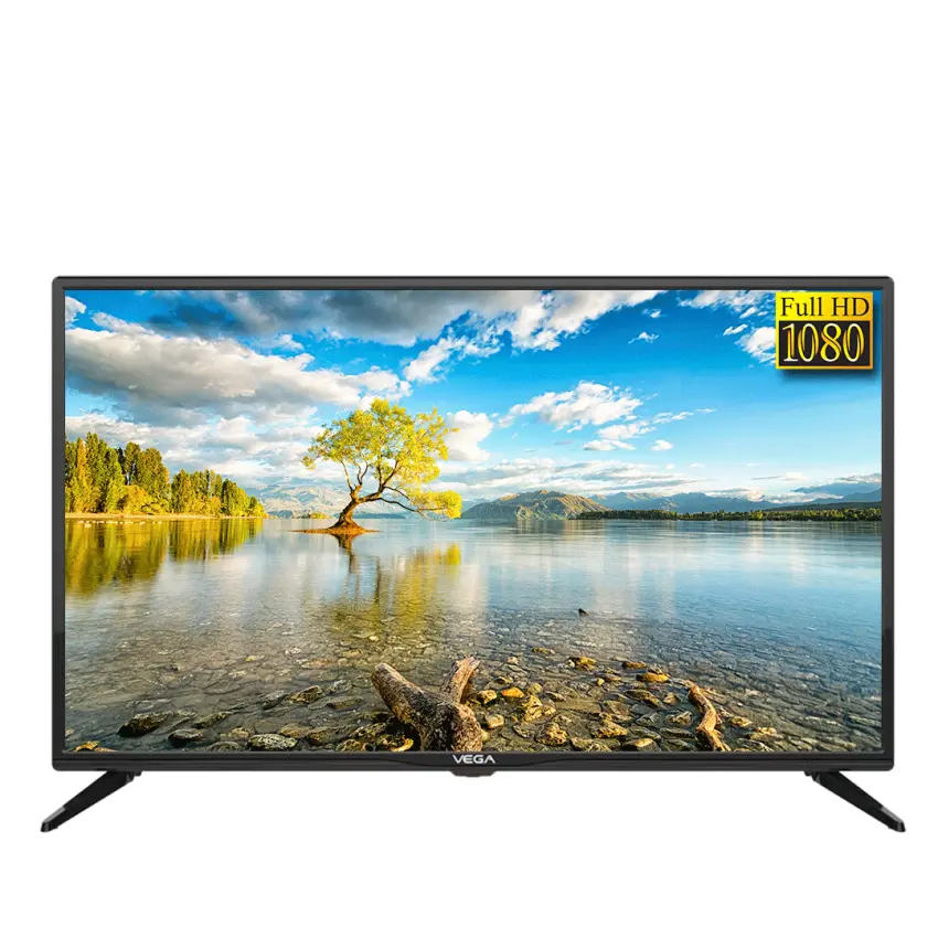 Téléviseur VEGA 40"