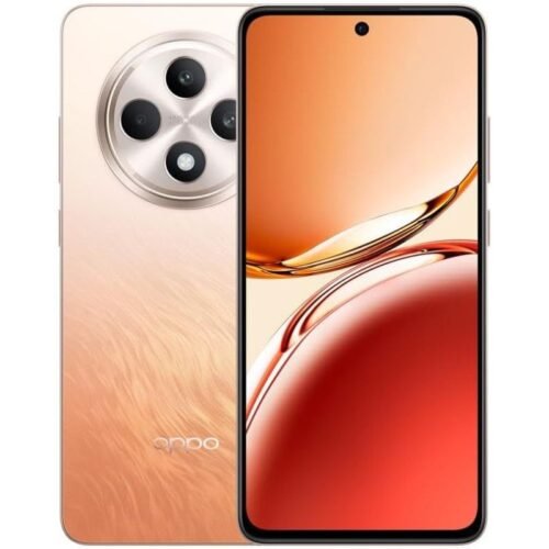 Oppo Reno 12 F (12/256 Go)