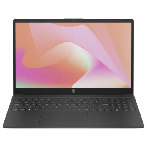 Pc Portable HP 15-fd0298nk N100 4 Go 256 Go SSD